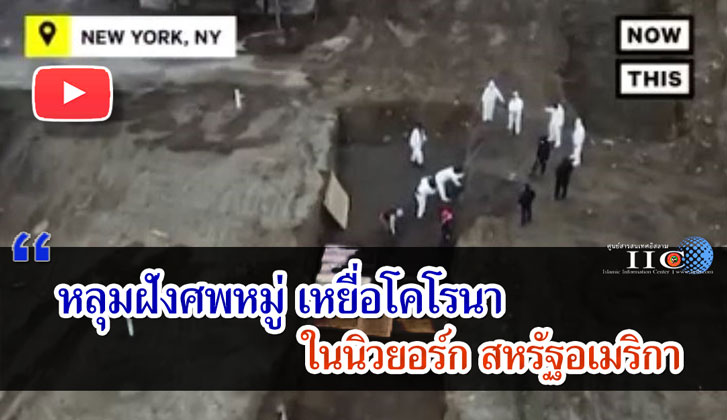 หลุมฝังศพหมู่เหยื่อโคโรนาในนิวยอร์กสหรัฐอเมริกา 